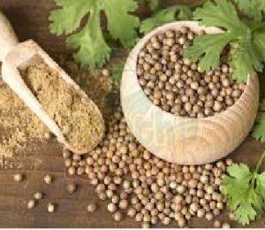 Coriander Seeds