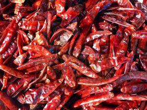 Dry Red Chilli