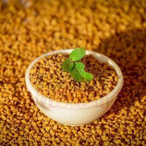 Fenugreek Seeds