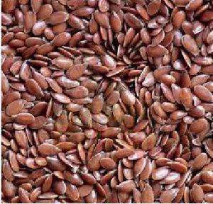 Flax Seeds