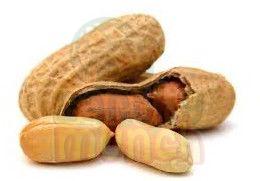 Shelled Groundnuts