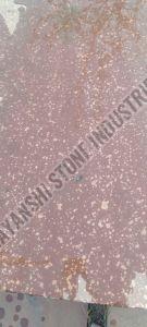 Agra Red Sandstone