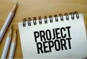 Business Project Report Service