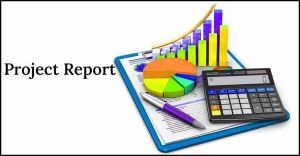 Project Report Preparation Service