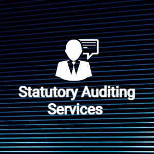 Statutory Financial Audit Service