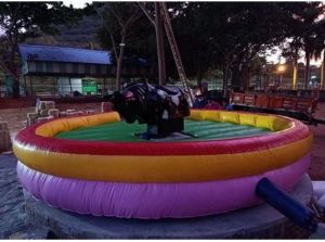 PVC Inflatable Bull Ride