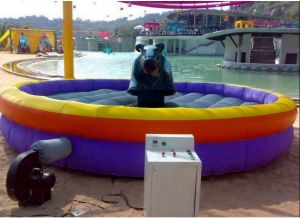 PVC Inflatable Bull Ride