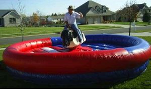 PVC Inflatable Bull Ride