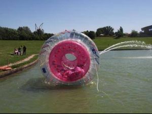 PVC Inflatable Water Roller