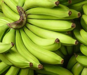 A Grade G9 Green Banana