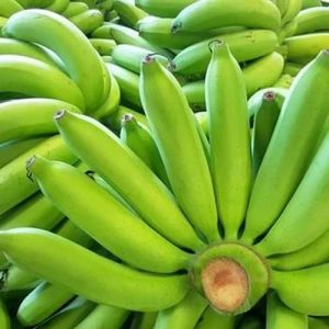 Fresh G9 Green Banana