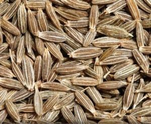 Bold Cumin Seeds