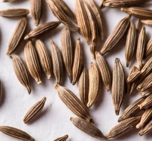 Extra Bold Cumin Seeds