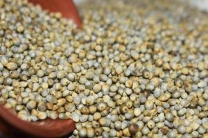 Natural Bajra Millets