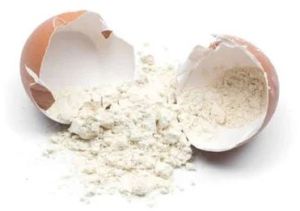 Dehydrated Egg Shell Powder