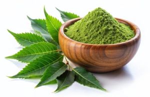 Dehydrated Neem Powder