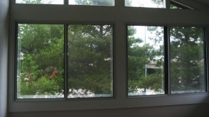Aluminum Windows