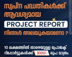 Project Report Services
