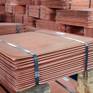 Copper Cathodes