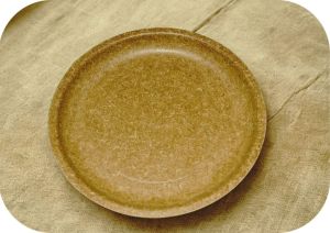 10 Inch Plain Biodegradable Dinner Plate