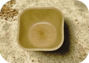 100ml Square Biodegradable Bowl