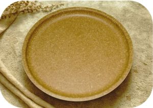 12 Inch Plain Biodegradable Dinner Plate