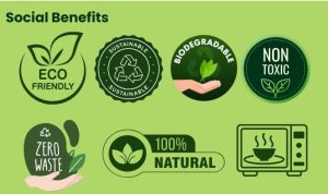 100ml Square Biodegradable Bowl