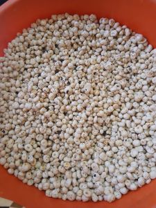 40gm Himalayan Salt Flavoured Makhana