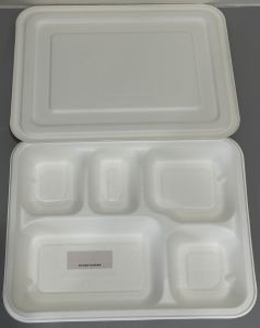 5 Section Sugarcane Bagasse Meal Tray