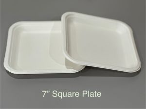 7 Inch Sugarcane Bagasse Serving Plate