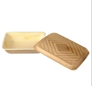 Areca Palm Leaf Rectangular Meal Packing Box