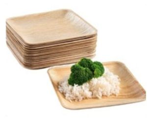 Areca Palm Leaf Square Dining Plates
