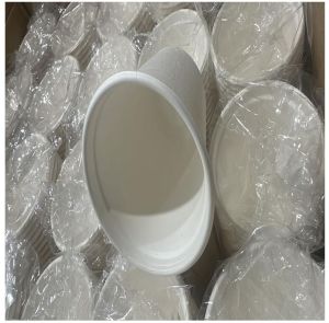 Compostable Bagasse Portion Cup
