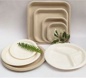 Ecodine Molded Fiber Bagasse Serving Plate