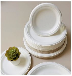Ecoserve Compostable Sugarcane Bagasse Dinner &AMP; Snack Plates