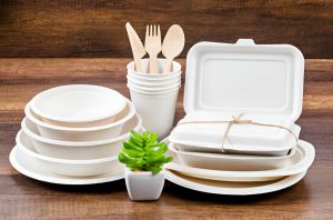 Ecoserve Compostable Sugarcane Tableware