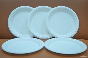 Purecane Biodegradable Round Snack Plates
