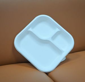 Square 3 Section Sugarcane Bagasse Meal Plates for Food Service