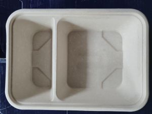 Sugarcane Bagasse 2 Section Rectangular Meal Tray