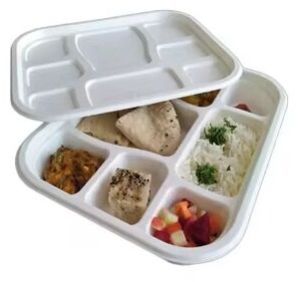 Sugarcane Bagasse 8 Section Compartment Meal Tray