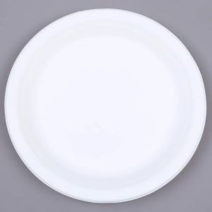 Sugarcane Bagasse Plain Round Meal Plate