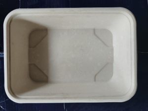 Sugarcane Bagasse Rectangular Food Service Tray