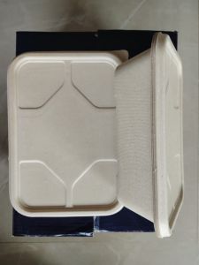 Sugarcane Bagasse Rectangular Meal Packing Box with Lid