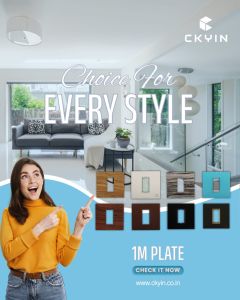 Modular Switch Plate