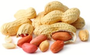 Groundnut Seeds