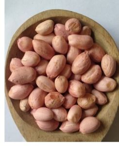 Groundnut Seeds