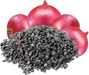 Red Onion Seeds