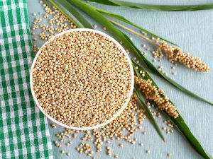 Sorghum Seeds