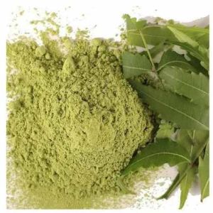 Dehydrated Neem Powder