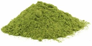 Herbal Moringa Extract Powder